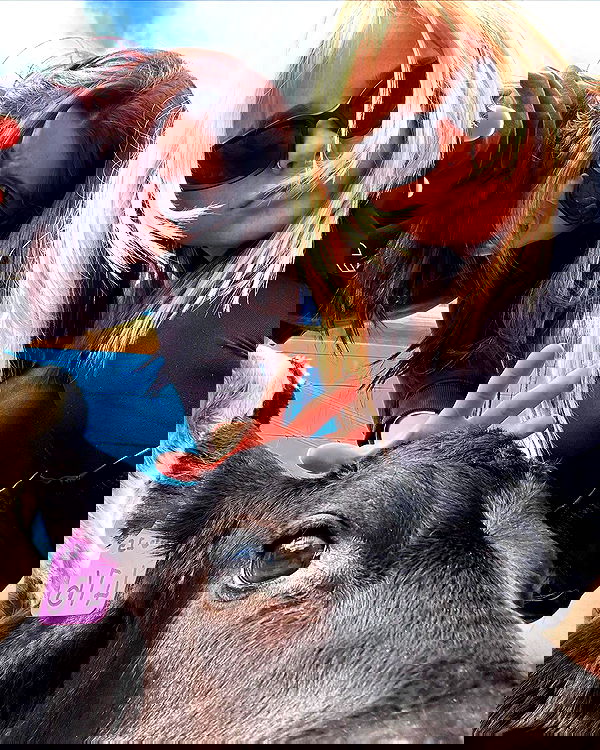 piper.jaylen piper.jaylen archive image