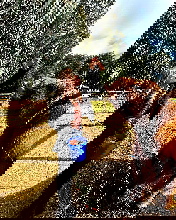 piper.jaylen piper.jaylen archive image