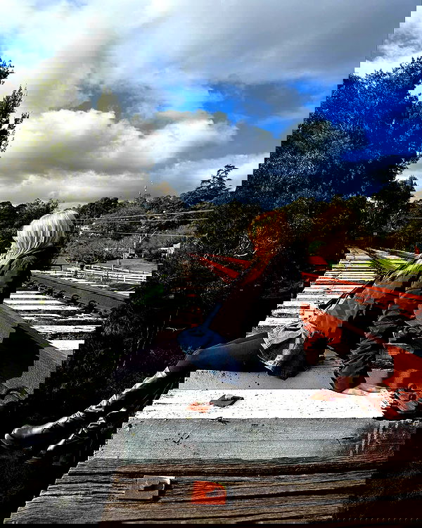 piper.jaylen piper.jaylen archive image