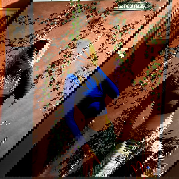 piper.jaylen piper.jaylen archive image