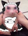 pixieonyxx Altpins Profile Picture