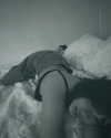 pixieonyxx Altpins Profile Picture