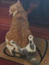 pixieonyxx Altpins Profile Picture