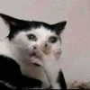 pixieonyxx Altpins Profile Picture