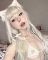 pockycatt Altpins Profile Picture