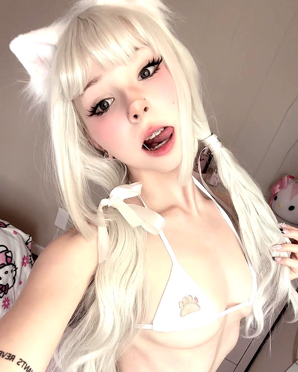pockycatt instagram image archive image