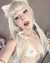 pockycatt Altpins Profile Picture