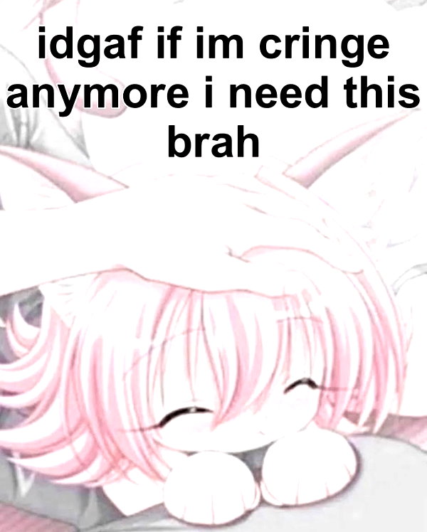 pockycatt instagram image archive image