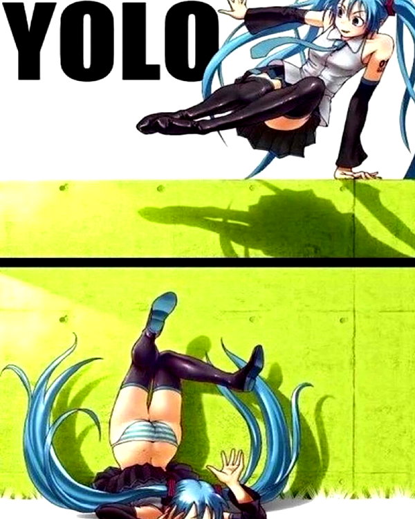 pockycatt instagram image archive image