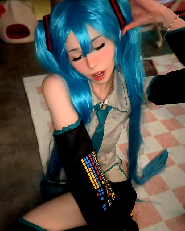 pockycatt instagram image archive image