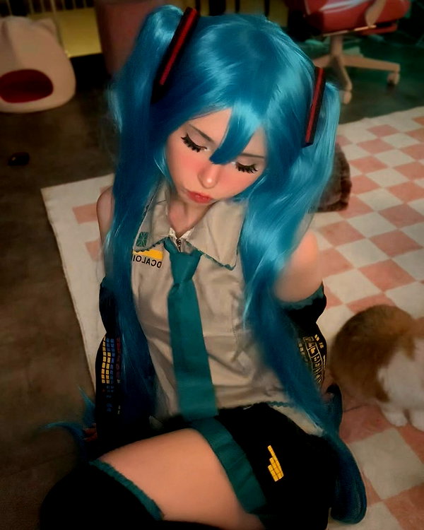 pockycatt instagram image archive image