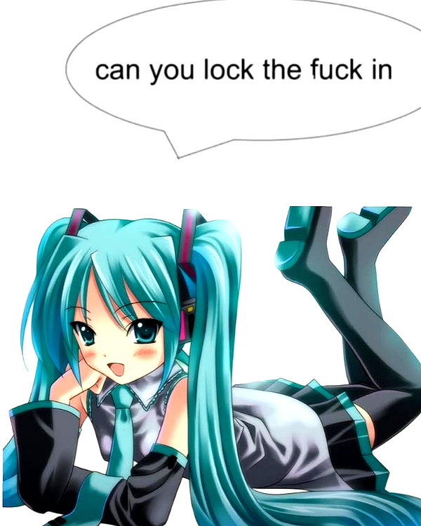 pockycatt instagram image archive image