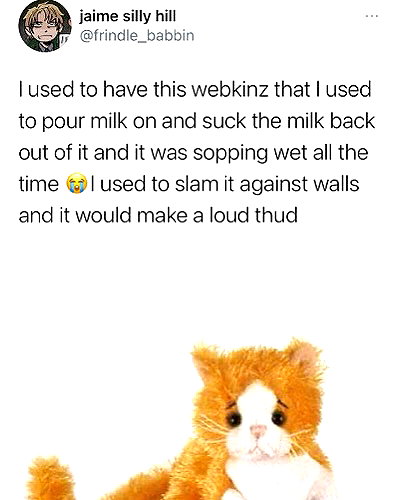 pockycatt instagram image archive image