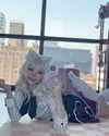 pockycatt Altpins Profile Picture