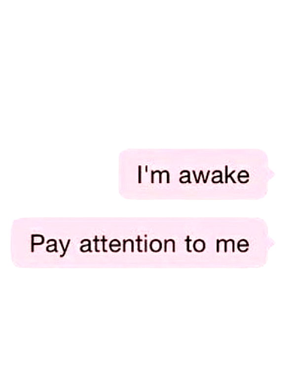 pockycatt instagram image archive image