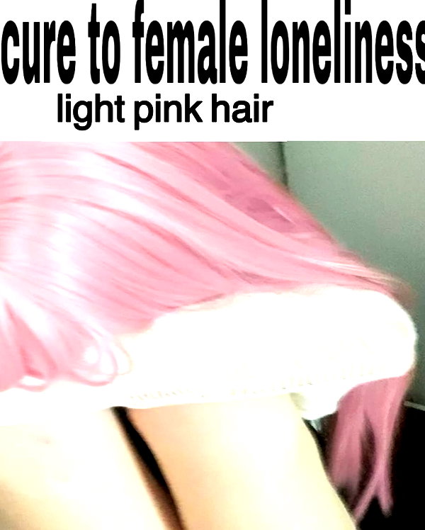 pockycatt instagram image archive image