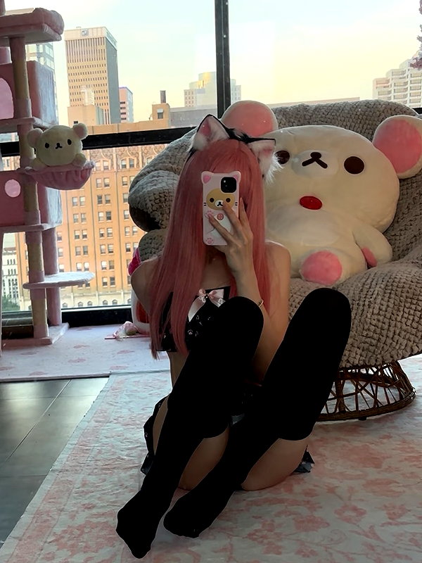 pockycatt instagram image archive image