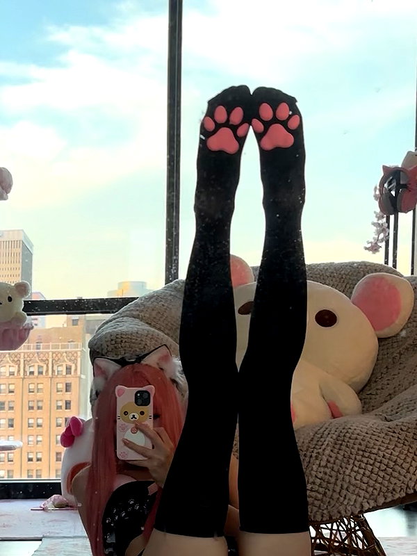 pockycatt instagram image archive image