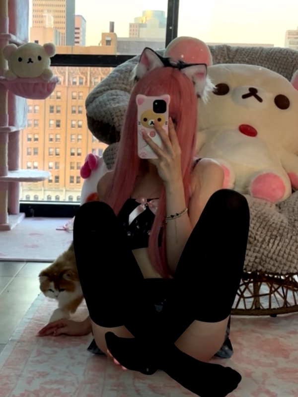 pockycatt instagram image archive image