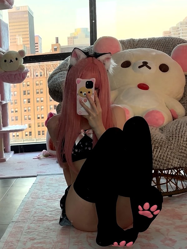 pockycatt instagram image archive image