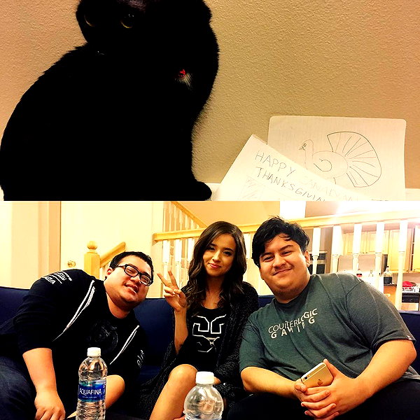 pokimanelol instagram image archive image