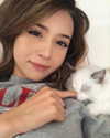 pokimanelol Altpins Profile Picture