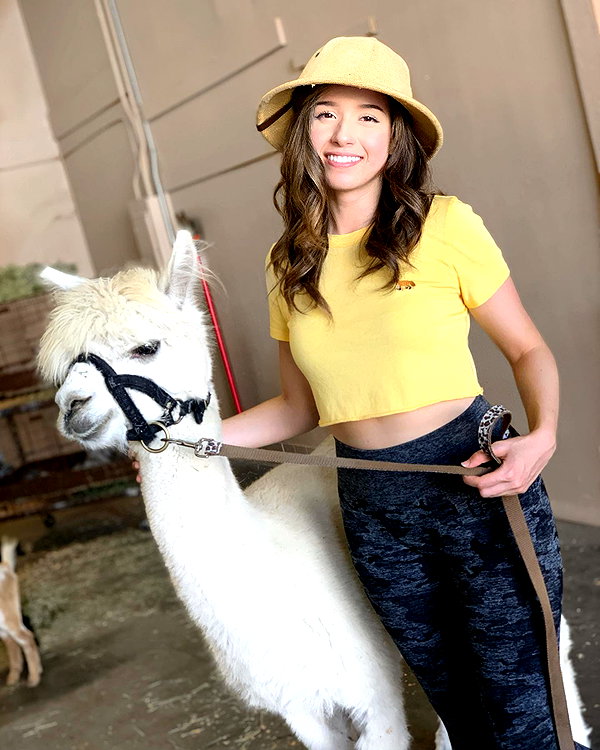 pokimanelol instagram image archive image