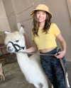 pokimanelol Altpins Profile Picture