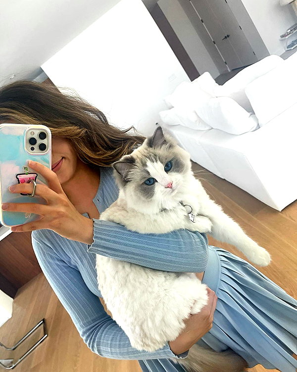 pokimanelol instagram image archive image