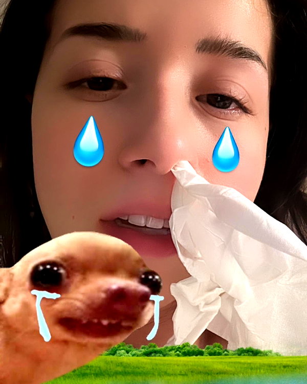 pokimanelol instagram image archive image
