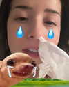 pokimanelol Altpins Profile Picture