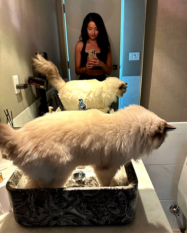 pokimanelol instagram image archive image