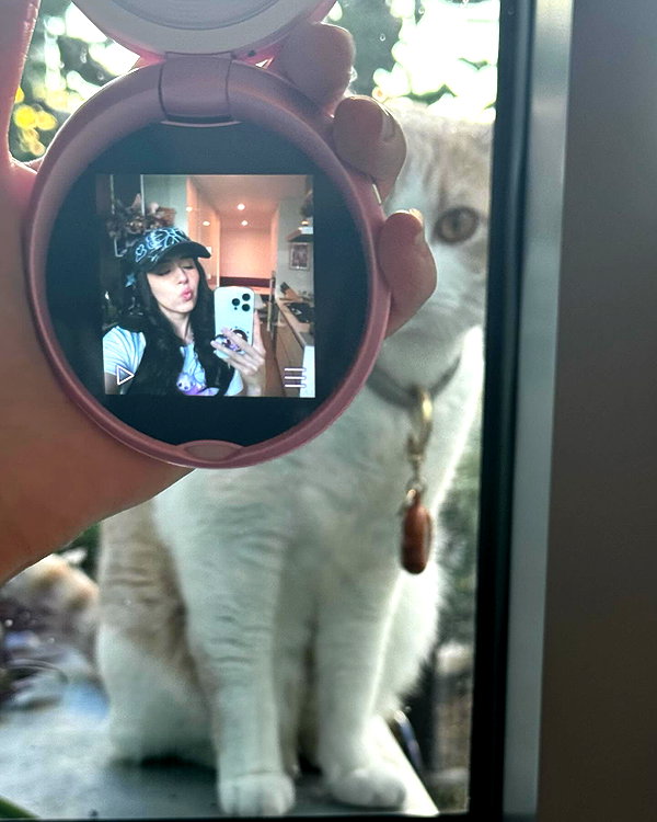 pokimanelol instagram image archive image