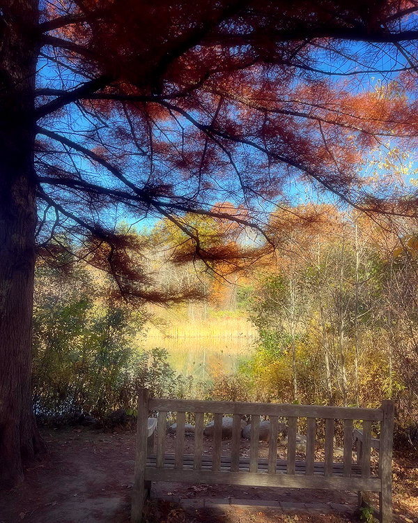 porcelainpixi instagram image archive image