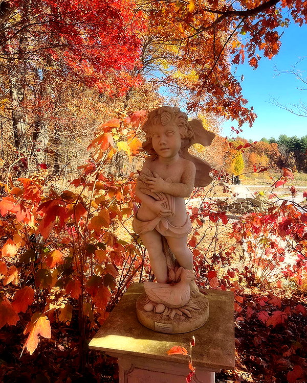 porcelainpixi instagram image archive image