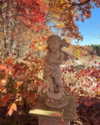 porcelainpixi Altpins Profile Picture