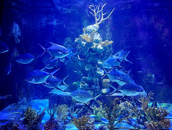 porcelainpixi instagram image archive image