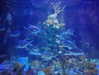 porcelainpixi Altpins Profile Picture