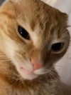 potato_godzilla Altpins Profile Picture
