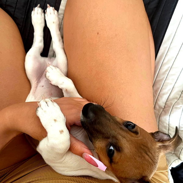 pradabarbi3 instagram image archive image