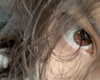 protheme Altpins Profile Picture