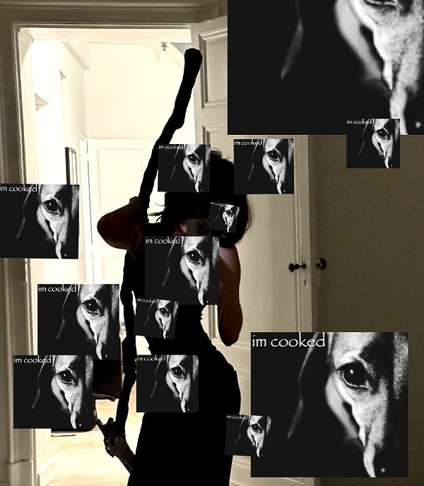protheme instagram image archive image