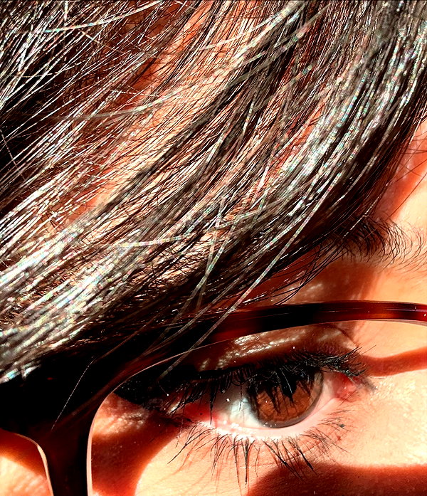 protheme instagram image archive image