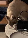 protheme Altpins Profile Picture
