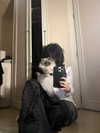 protheme Altpins Profile Picture