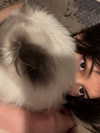 protheme Altpins Profile Picture