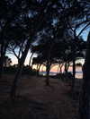 protheme Altpins Profile Picture