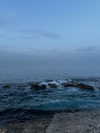 protheme Altpins Profile Picture