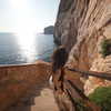 protheme Altpins Profile Picture
