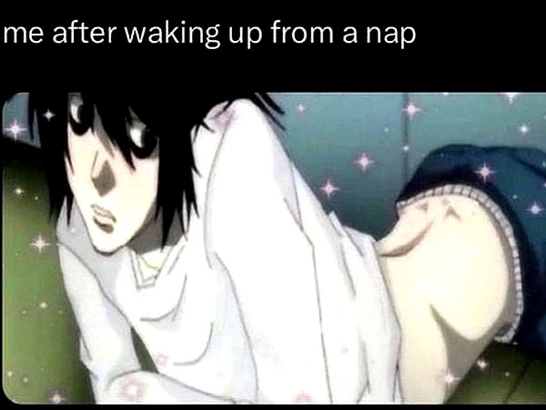 puppiwii instagram image archive image